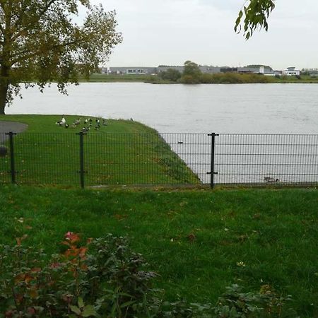De Zilveren Karper IJsselmuiden Exteriör bild