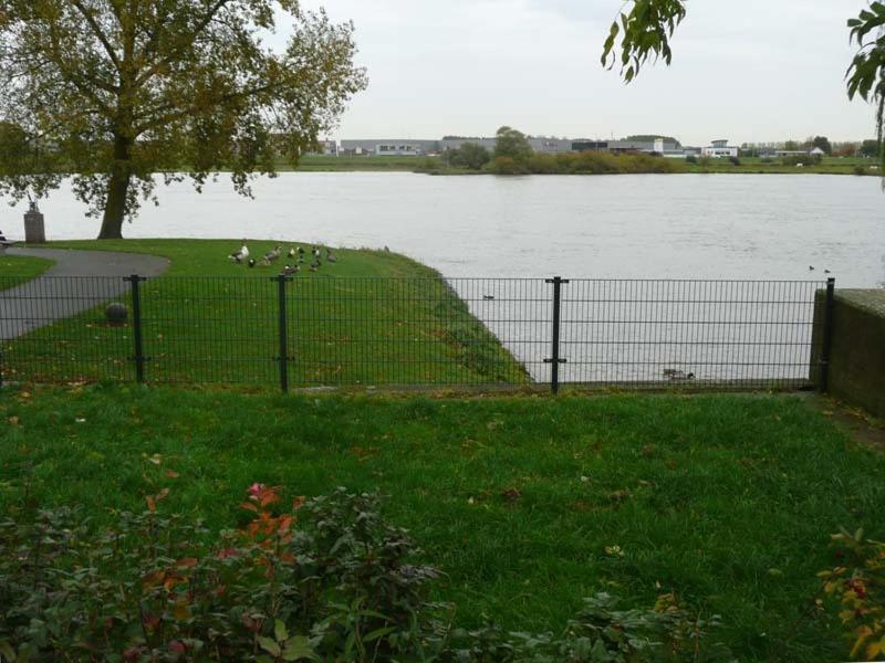 De Zilveren Karper IJsselmuiden Exteriör bild